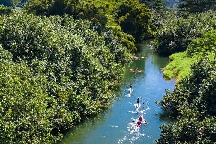 Kayak the Roseau River: Mangrove Paddle & Beach Bar Stop in Saint Lucia photo 6