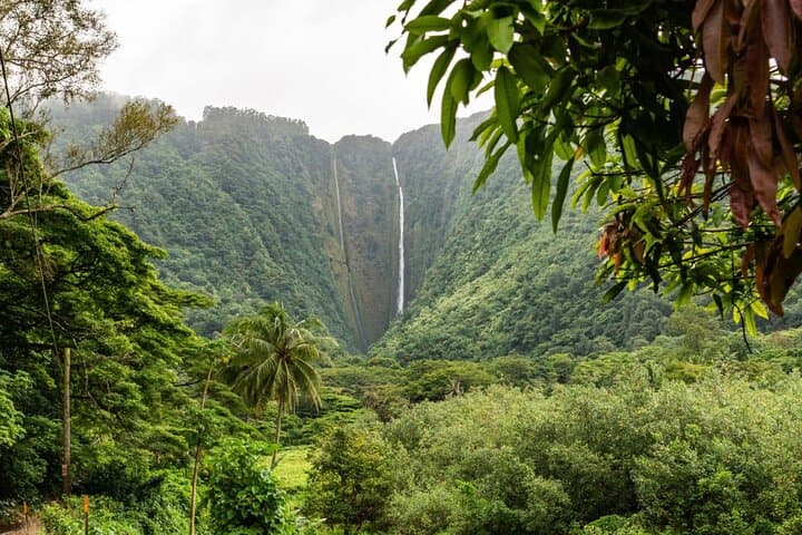 Explore Hawaii’s Big Island: Custom Volcano & Nature Adventures photo 4