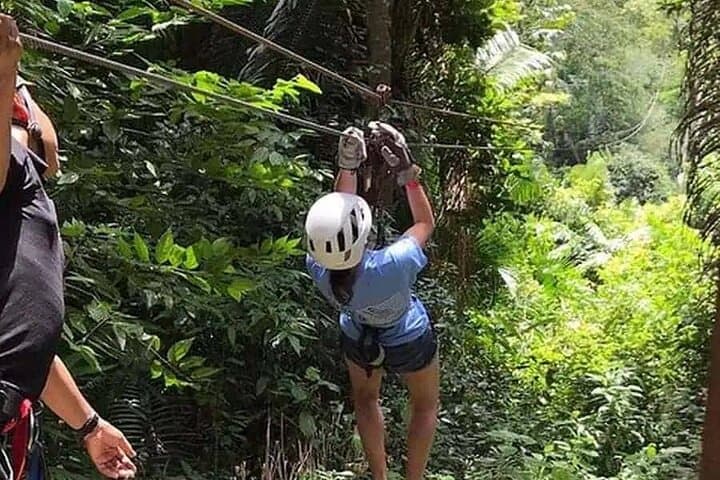 Jungle Ziplining Adventure from Hopkins Village — Bocawina Canopy Tour