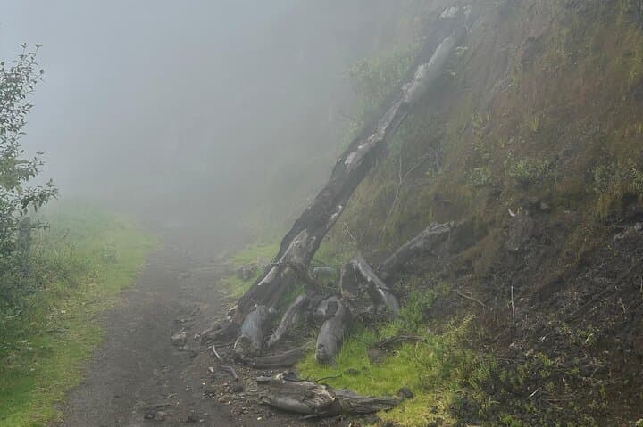 Hiking Turrialba Volcano: Active Crater Trails & Regenerating Forest
