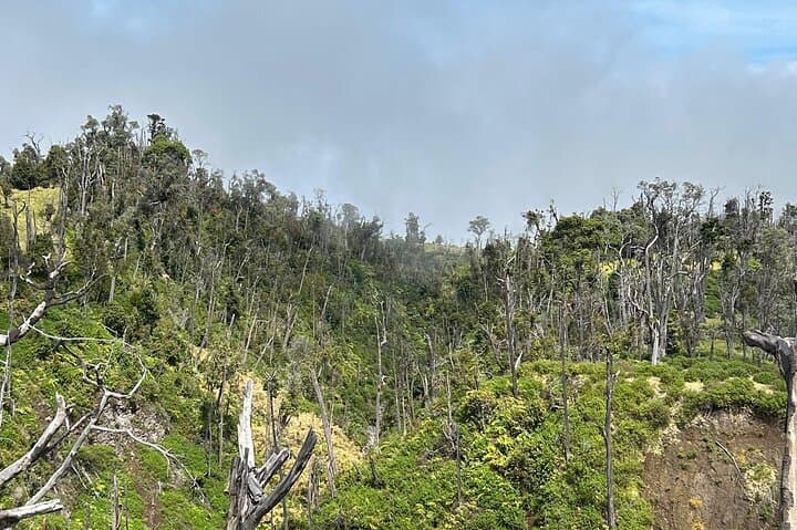 Hiking Turrialba Volcano: Active Crater Trails & Regenerating Forest photo 3