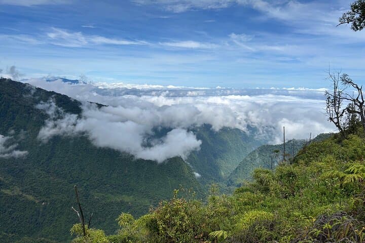 Hiking Turrialba Volcano: Active Crater Trails & Regenerating Forest photo 5