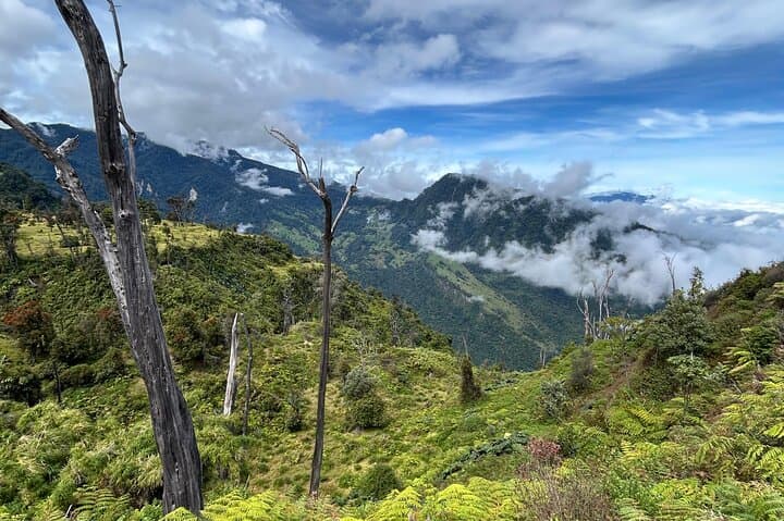 Hiking Turrialba Volcano: Active Crater Trails & Regenerating Forest photo 6
