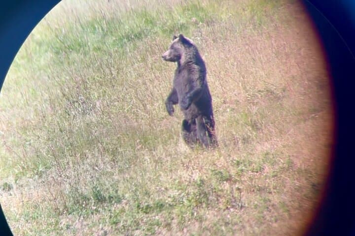 Experience Yellowstone's Lamar Valley Wildlife and Healing Sound Bath Retreat photo 2