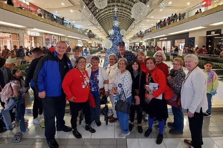 Houston December Holiday Lights Tour: Waterwall, The Galleria & Tanglewood photo 4