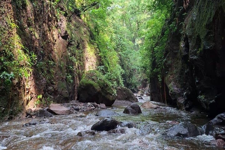 River Trekking in a Hidden Canyon — Colima’s Jungle Gorge Adventure