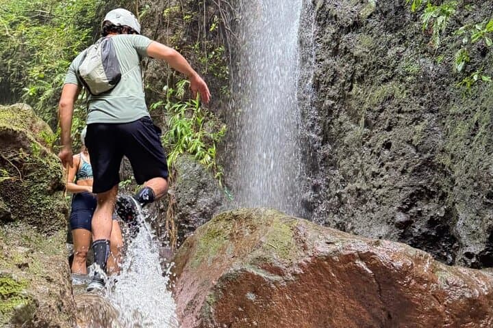 River Trekking in a Hidden Canyon — Colima’s Jungle Gorge Adventure photo 3