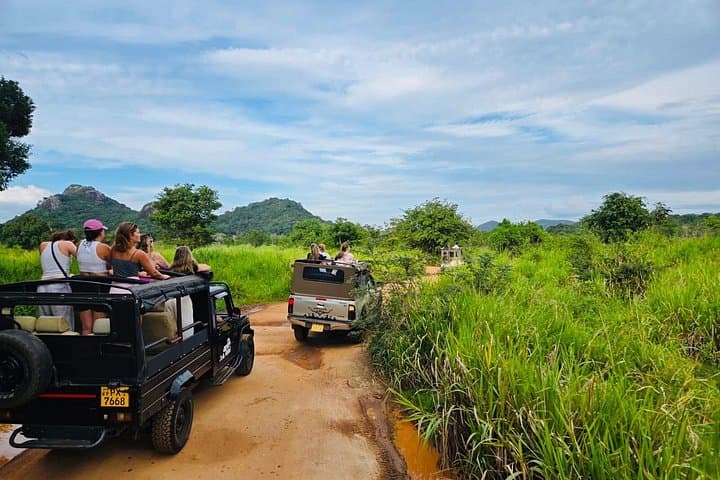 Sri Lanka: 8-Night Culture, Wildlife & Hill Country Adventure photo 2