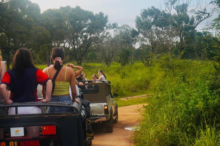 Five-Day Private Circuit: Culture, Safari and Beaches Across Sri Lanka photo 5