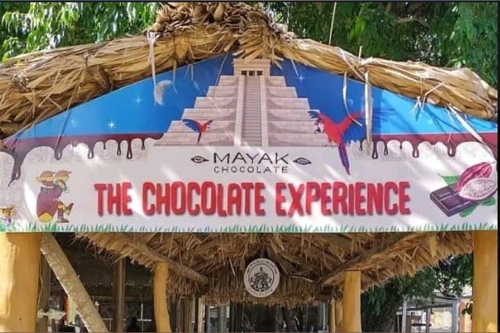 Roatan Dune Buggy Jungle Tour with Rum & Chocolate Tastings photo 4
