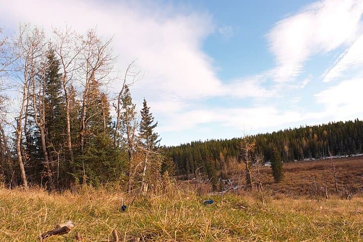 Ghost Lake & Waiparous Valley Off‑Road Tour: Quad Biking and Snowmobiling from Cochrane photo 1