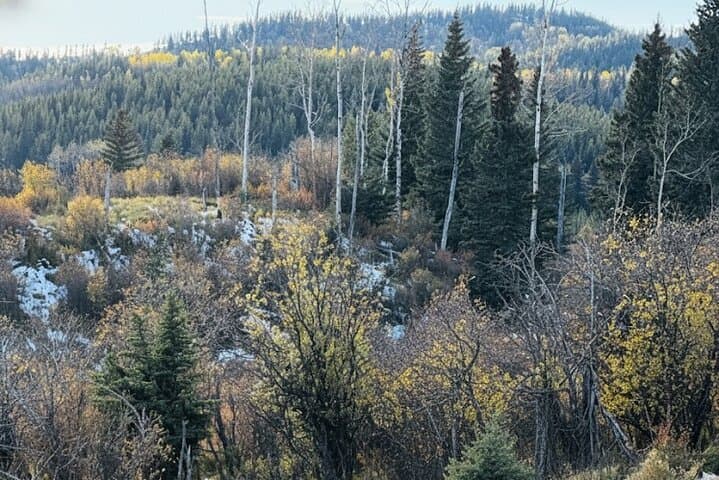 Ghost Lake & Waiparous Valley Off‑Road Tour: Quad Biking and Snowmobiling from Cochrane photo 2