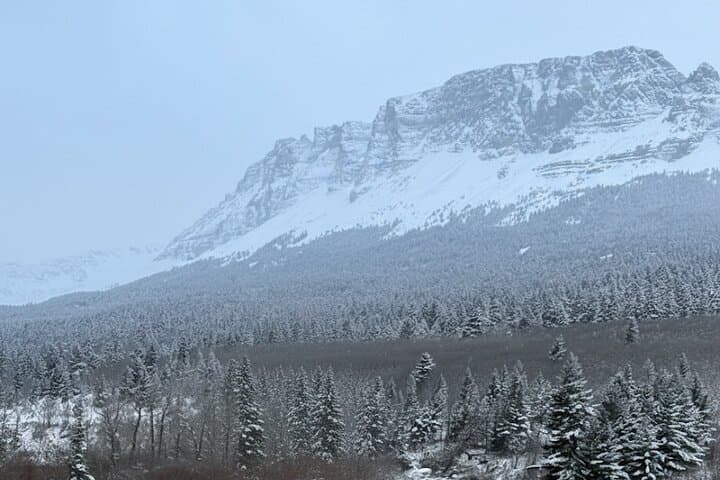 Ghost Lake & Waiparous Valley Off‑Road Tour: Quad Biking and Snowmobiling from Cochrane photo 3