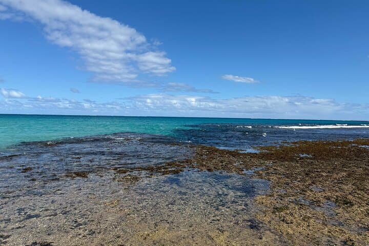 Coral Coast Day Tour: Nadi Culture, Snorkel Sovi Bay & Sigatoka Sand Dunes photo 2