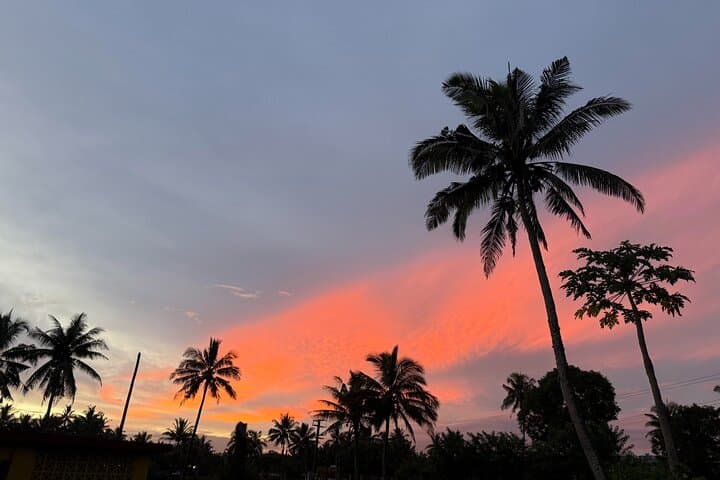 Coral Coast Day Tour: Nadi Culture, Snorkel Sovi Bay & Sigatoka Sand Dunes photo 4