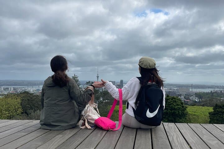 Auckland Museum, Mt Eden & Wintergardens: Half-Day Cultural Sightseeing Tour photo 2
