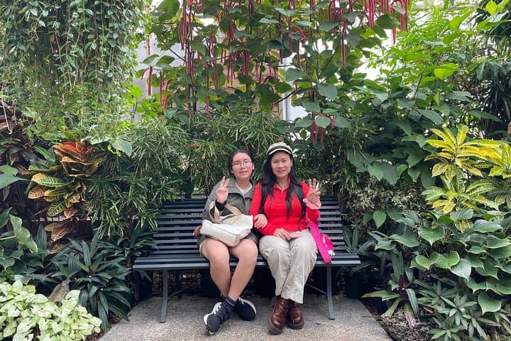 Auckland Museum, Mt Eden & Wintergardens: Half-Day Cultural Sightseeing Tour photo 3