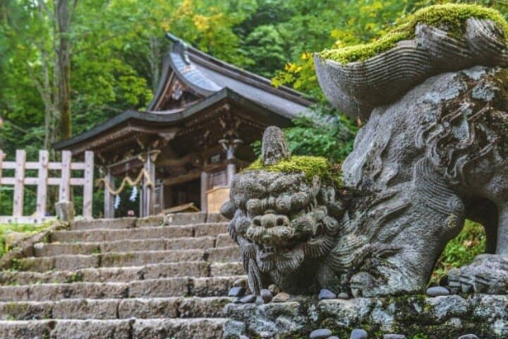 Nagano Full-Day Tour: Snow Monkeys, Zenkoji Temple & Togakushi Forest photo 2