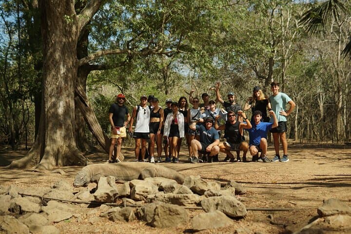 Labuan Bajo Komodo Day Trip: Snorkelling, Pink Beach & Dragon Trek photo 2
