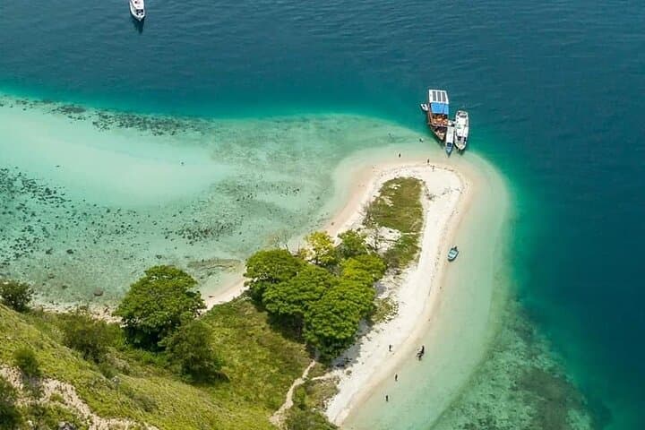 Labuan Bajo Komodo Day Trip: Snorkelling, Pink Beach & Dragon Trek photo 4