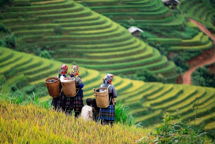 Mai Chau Full-Day Private Tour from Hanoi — Cycle Rice Valleys & Thung Khe Pass