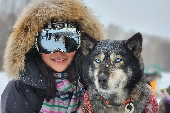 Winter in Terelj National Park: Dog Sledding, Horseback Riding & Snow Motorbike Experience