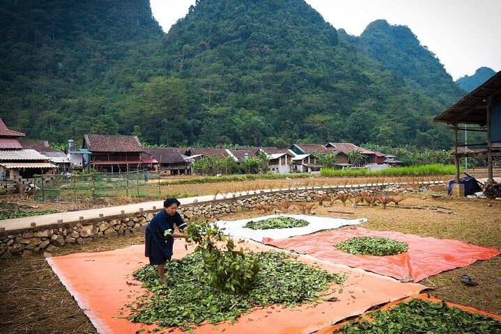 Cao Bang & Ba Be Lake: 4-Day Adventure from Hanoi to Ban Gioc Waterfall photo 4