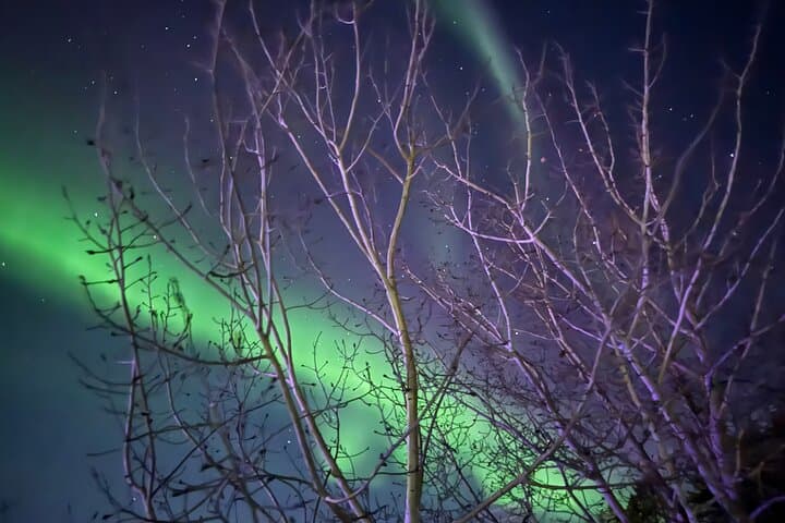 Chase the Northern Lights: Yellowknife Aurora Hunting Tour photo 3
