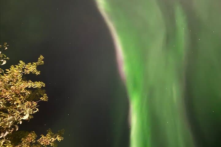 Chase the Northern Lights: Yellowknife Aurora Hunting Tour photo 5