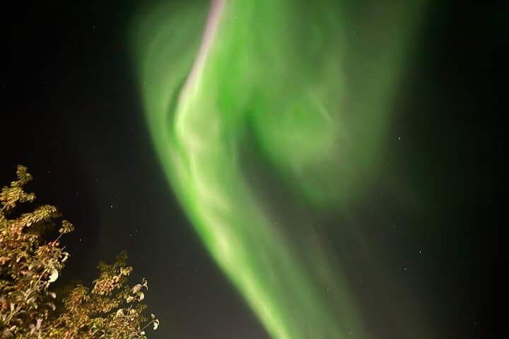 Chase the Northern Lights: Yellowknife Aurora Hunting Tour photo 6