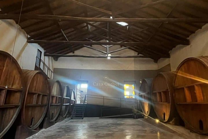 Flavors of Mendocinos: Mendoza Wine, Olive Oil & Chocolate Tasting Tour