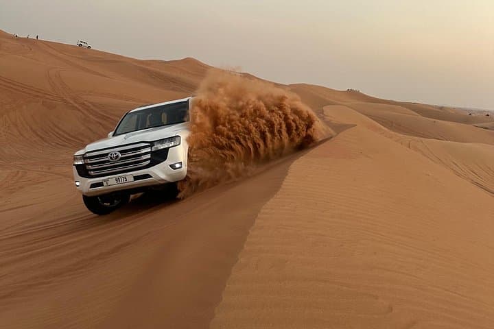 Evening Desert Safari in Lahbab: Camel Rides, Falcon Photos, BBQ & Live Shows photo 1
