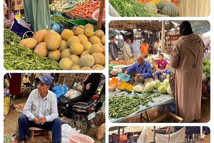 Atlas Mountains & Ourika Valley Day Trip with Agafay Desert Lunch from Marrakech photo 4