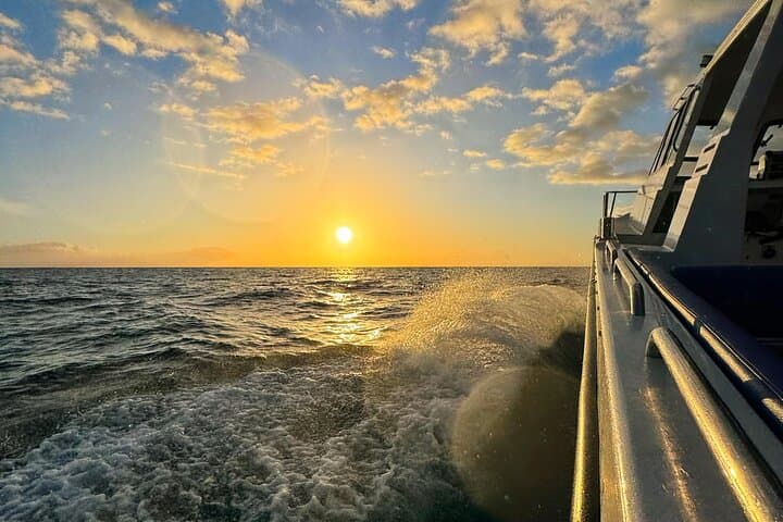 Madeira Sunset Cruise: Coastal Swim, Snorkel & Paddleboard from Funchal photo 1