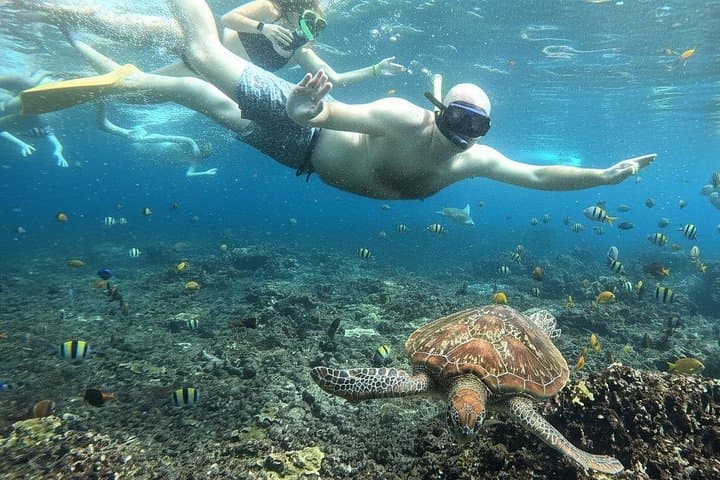 Nusa Penida Snorkeling: Manta Bay, Crystal Bay & Wall Bay Day Trip photo 1