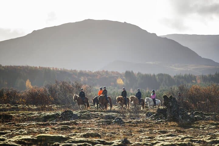 Private Icelandic Horseback Ride from Reykjavík — Tailored for Every Skill Level photo 3
