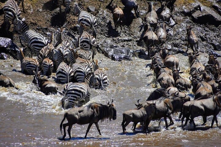 3-Day Masai Mara Private Camping Safari: Big Five, Mara River & Night Camps photo 3