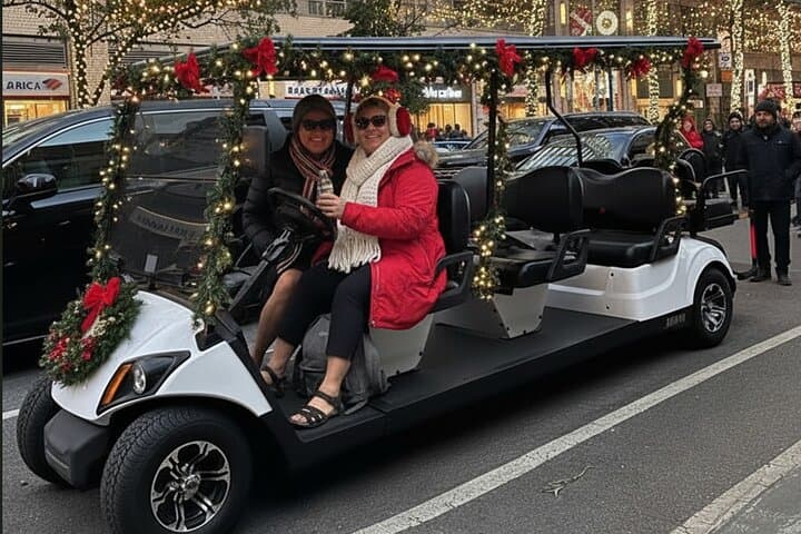 NYC Holiday E‑Cart Tour: Manhattan Landmarks, High Line & West Village photo 1