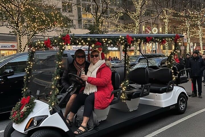 NYC Holiday Landmarks Guided Covered Cart Tour — Manhattan Lights & History photo 2