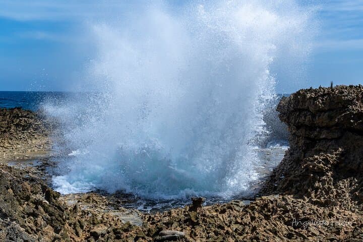 Private Customized West Coast Tour in Curaçao — Beaches, Snorkel & Nature photo 3
