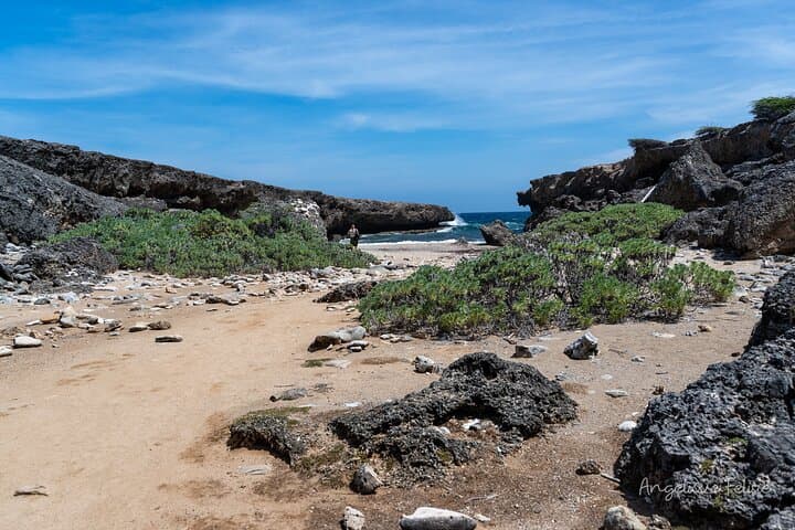 Private Customized West Coast Tour in Curaçao — Beaches, Snorkel & Nature photo 5