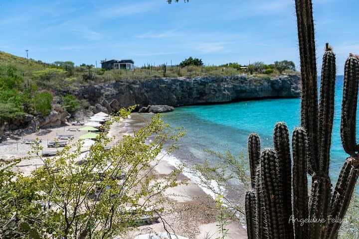Private Customized West Coast Tour in Curaçao — Beaches, Snorkel & Nature photo 4