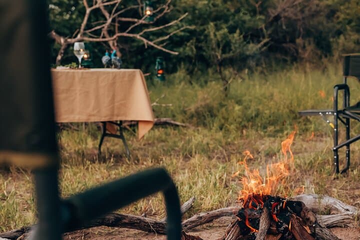 Sunset Game Drive and Bush Dinner near Kruger: Big Five Safari & Sundowners photo 2