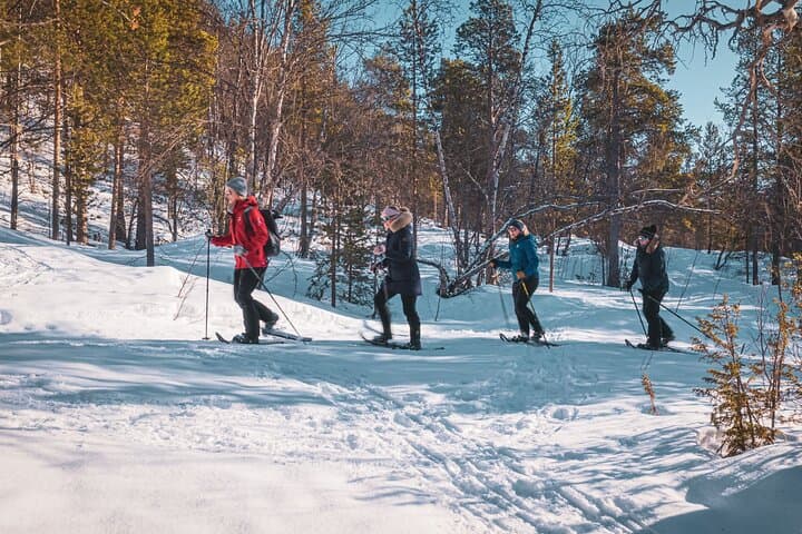 Easy Arctic Snowshoe Adventure from Gargia Lodge Near Alta