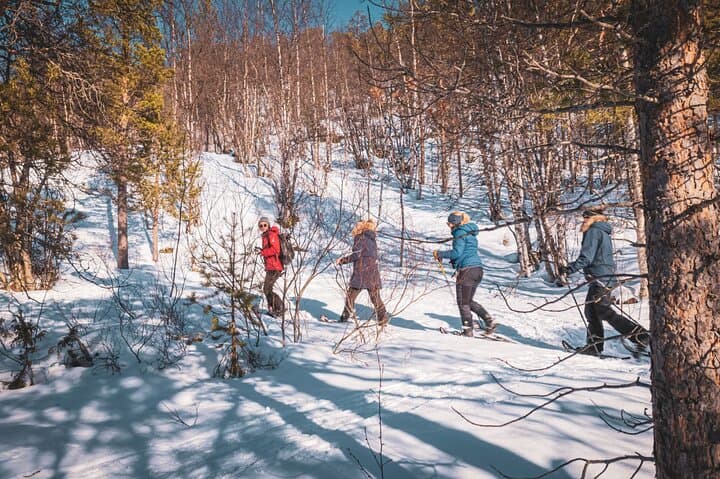 Easy Arctic Snowshoe Adventure from Gargia Lodge Near Alta photo 4