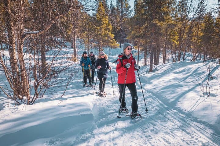 Easy Arctic Snowshoe Adventure from Gargia Lodge Near Alta photo 5