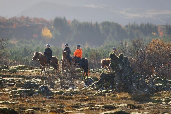 Private Icelandic Horseback Ride from Reykjavík — Tailored for Every Skill Level