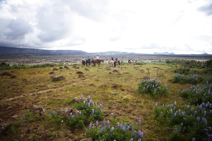 Private Icelandic Horseback Ride from Reykjavík — Tailored for Every Skill Level photo 5
