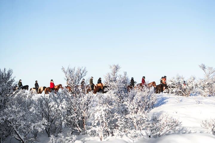 Private Icelandic Horseback Ride from Reykjavík — Tailored for Every Skill Level photo 4