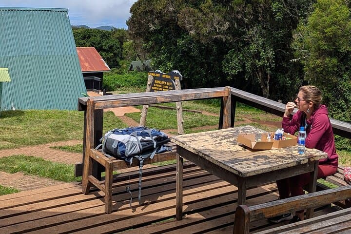 Kilimanjaro Day Hike on the Marangu Route — Mandara Hut & Maundi Crater photo 3